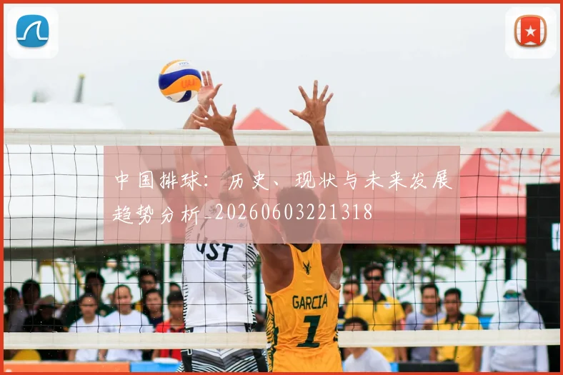 中国排球：历史、现状与未来发展趋势分析_20260603221318