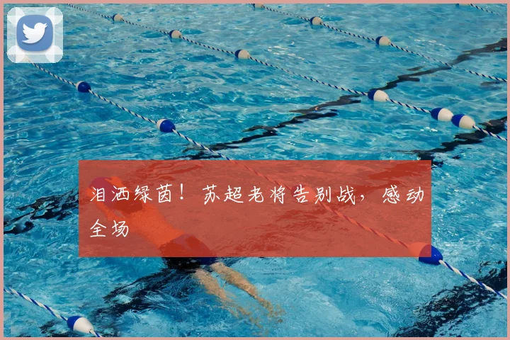 泪洒绿茵!苏超老将告别战,感动全场