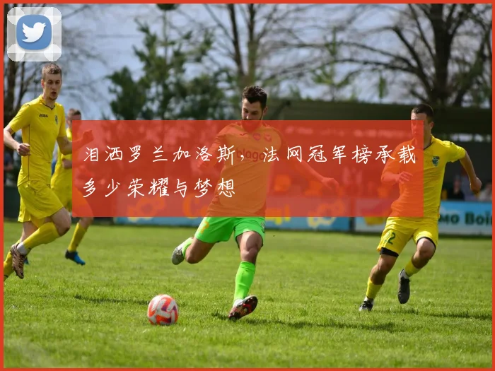 泪洒罗兰加洛斯,法网冠军榜承载多少荣耀与梦想